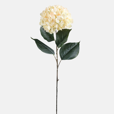 Hydrangea, Lt. Yellow/Peach L911-01