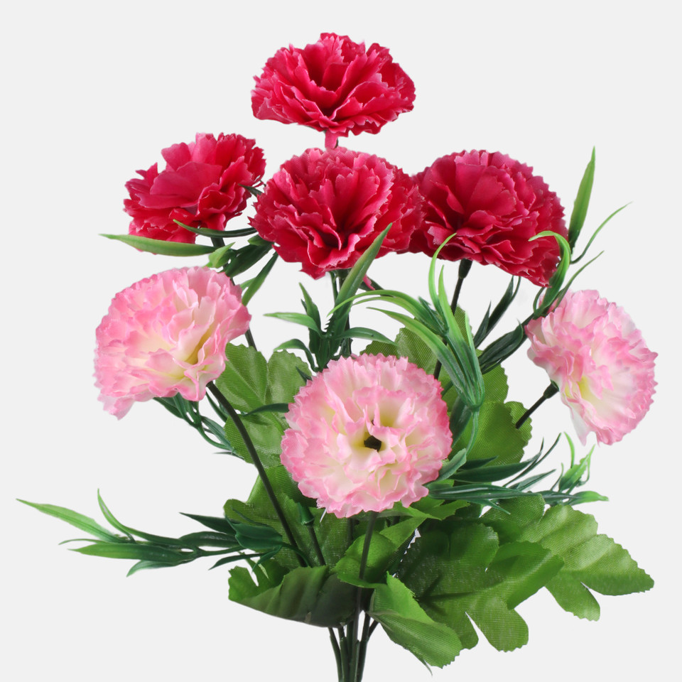 Goździk x 7, Lt. Pink/Pink QA702-04