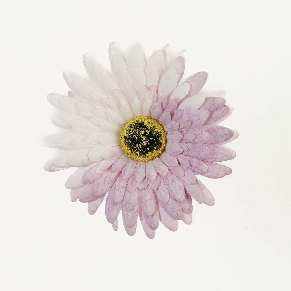 Gerbera – główka drukowana, lt.violet B75-10