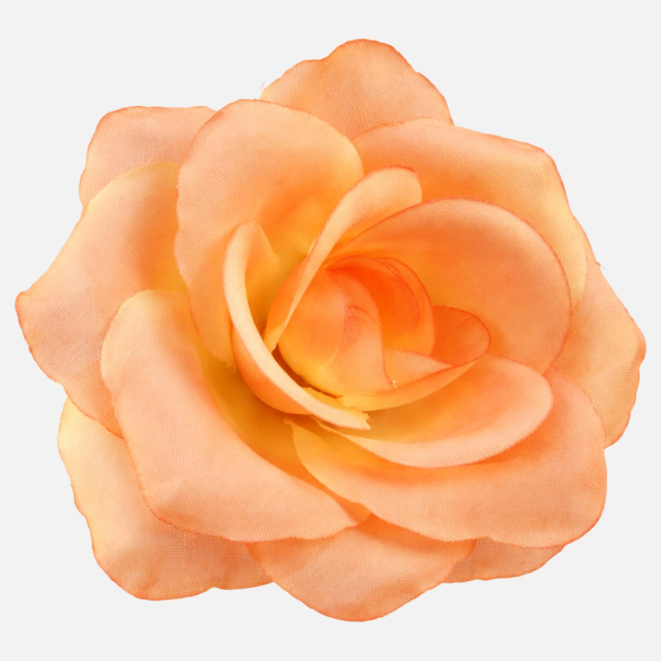 Róża, Orange W751-08
