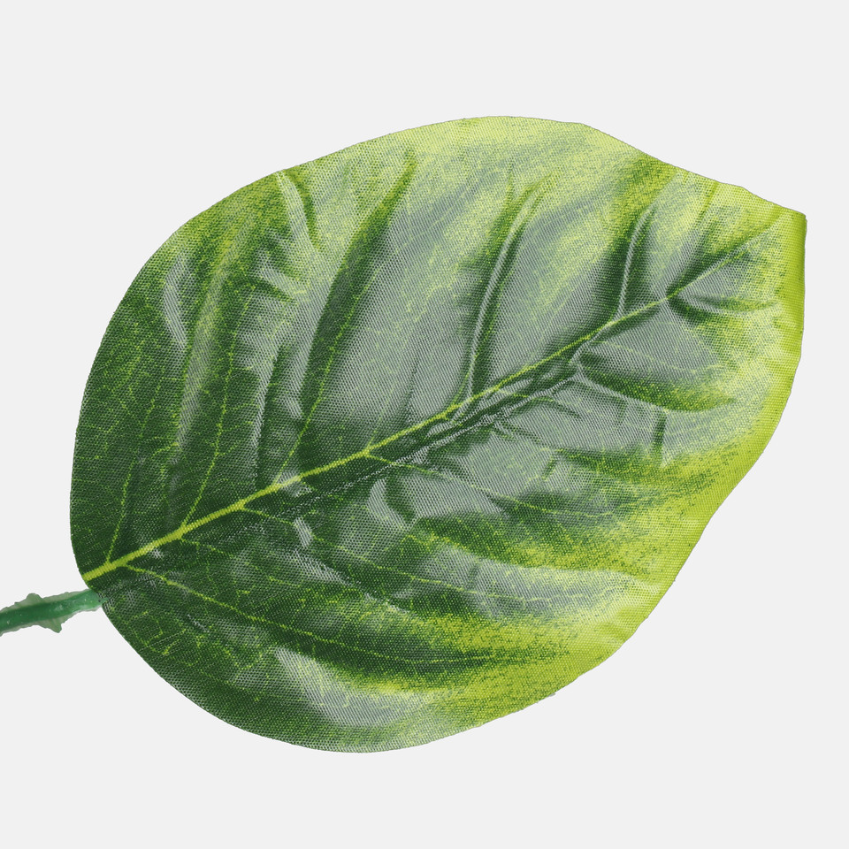 Linden, Green/Lt. Green Edge F236-01