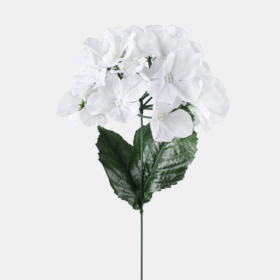 Hydrangea, Mix 3 G139-03