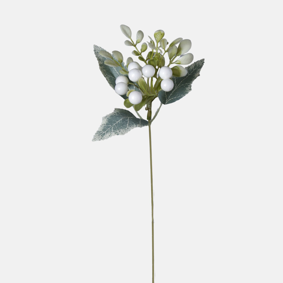 Borówka, White BDK076-01