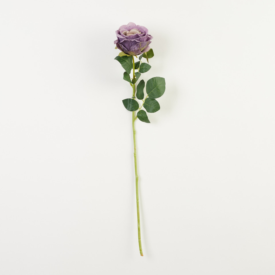 Róża – gałązka, autumn violet B60-46
