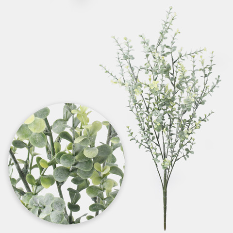 Bilberry A722