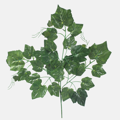 Vine F170