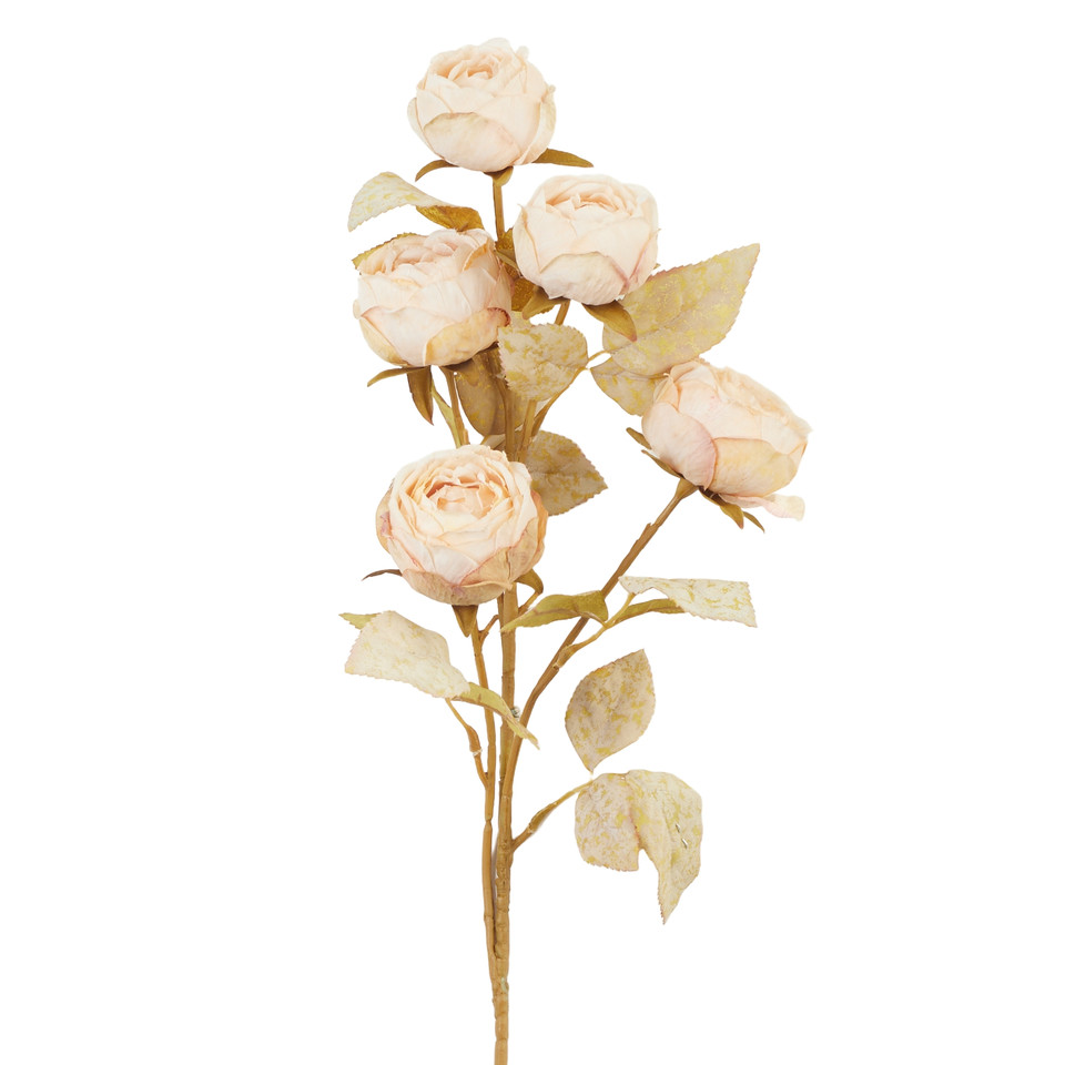 Peonia - gałązka x5 66 cm, 09 autumn cream UJ57-09