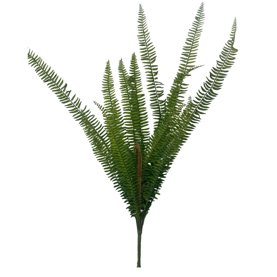 Paproć - bukiet 92 cm, green B273-00