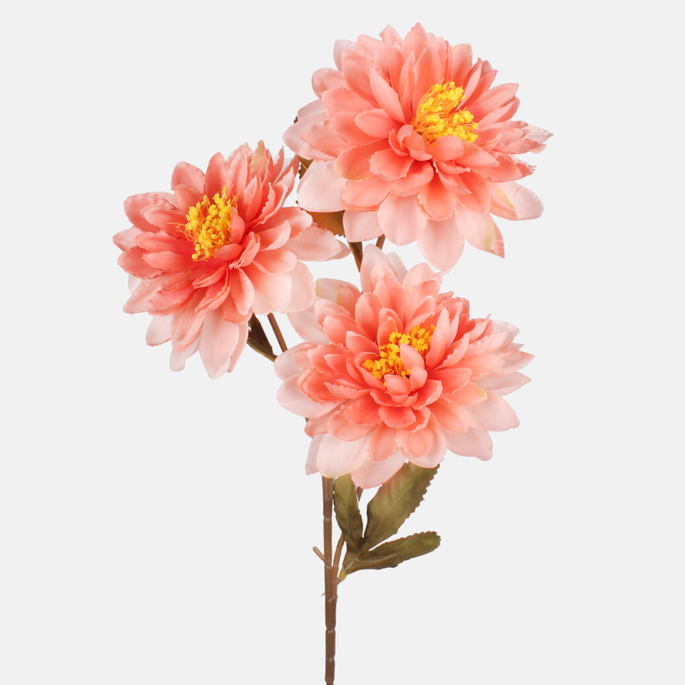Dalia x 3, Peach G481-04