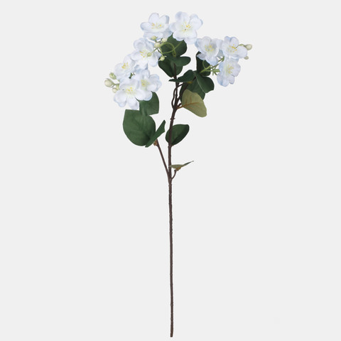 Jasmine, Lt. Blue G479-04