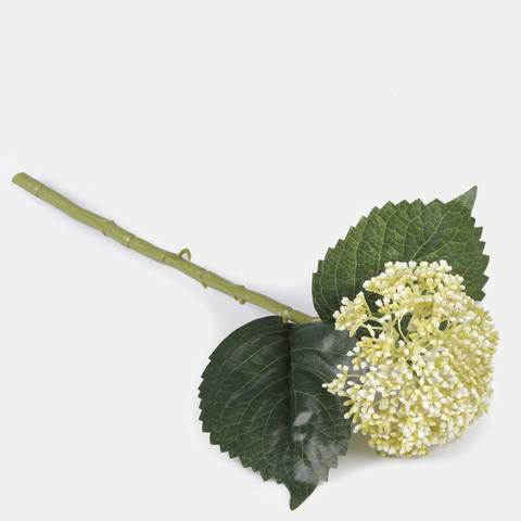 Hydrangea, White/Lt. Green G459-02