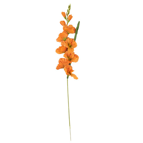 Gladiolus - twig, 10 orange AL184-10