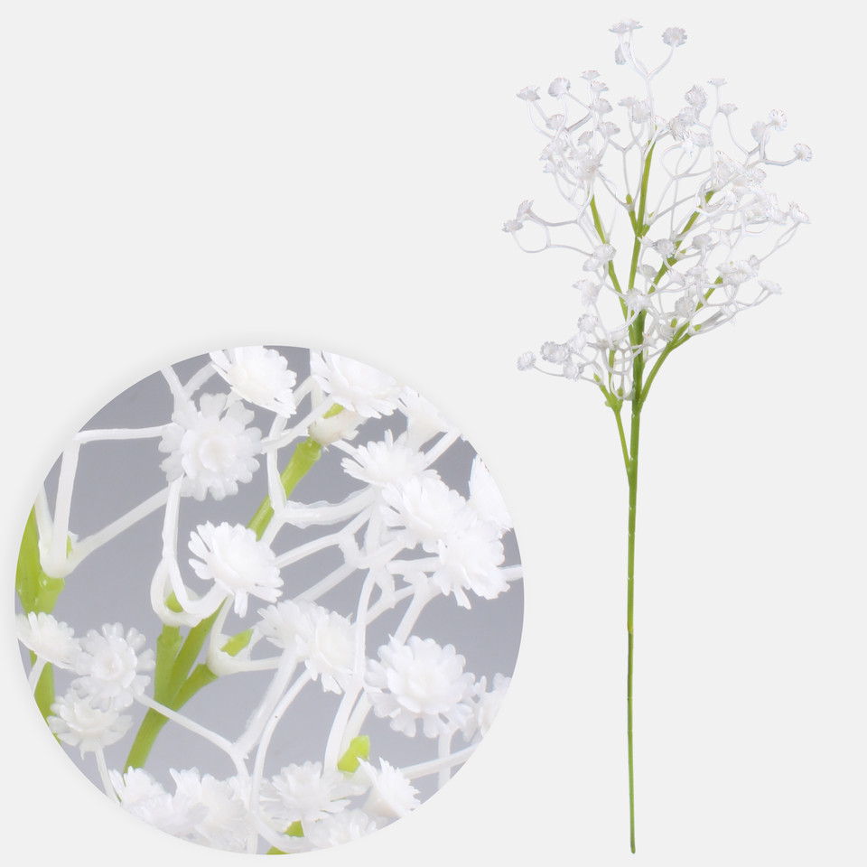 Gypsophila, White G446-01