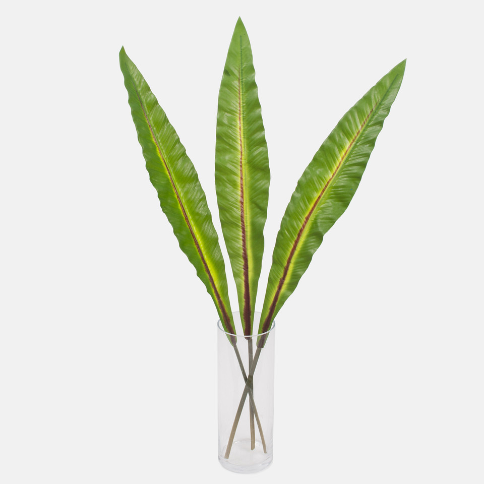 Rubberised strelitzia leaf XXL, Green A624L