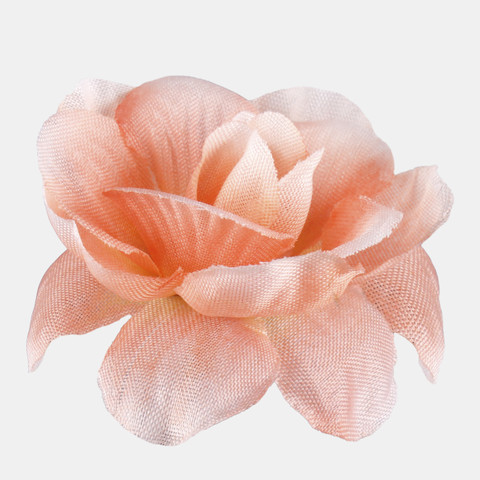 Rose, Peach W303-09