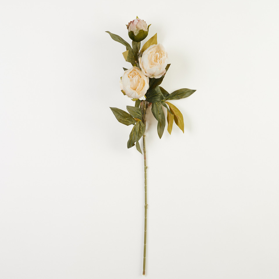 Peonia – gałązka x3, 01 B38-01