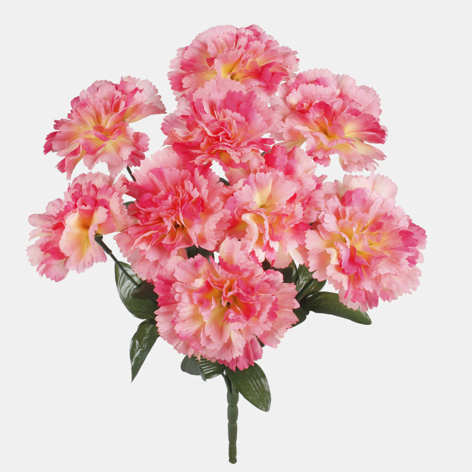 Goździk x 9, T.T. Pink/Lt. Yellow QA177-05