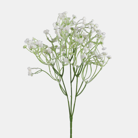 Gypsophila, White L856-05