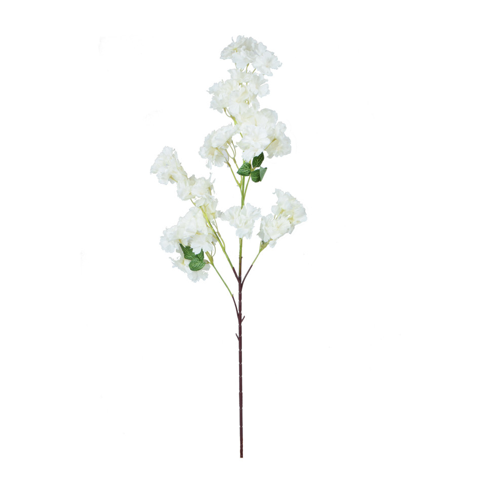 Wiśnia, Cream GK228-03