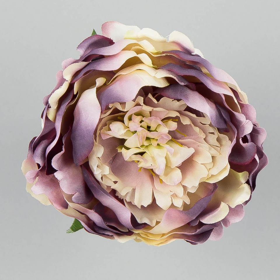 Peonia – główka, autumn tt.pink B11-05