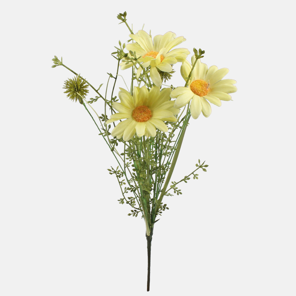 Stokrotka, Lt. Yellow A758K-02
