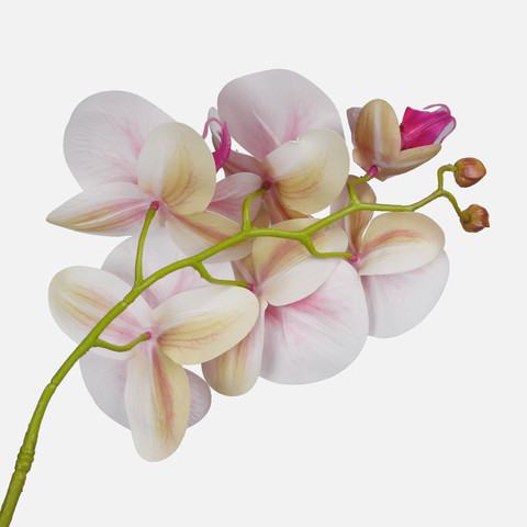 Orchid, Lt. Pink L775L-04