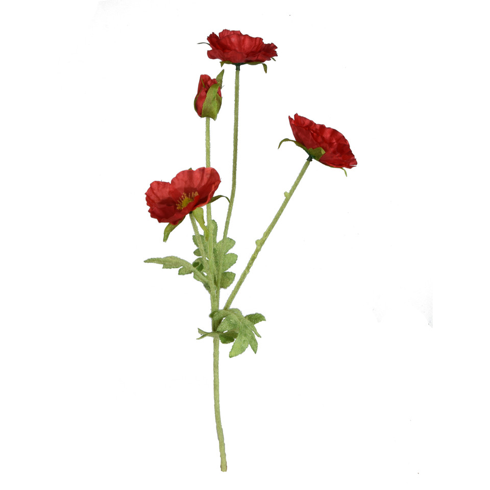Mak, Red GK224-00
