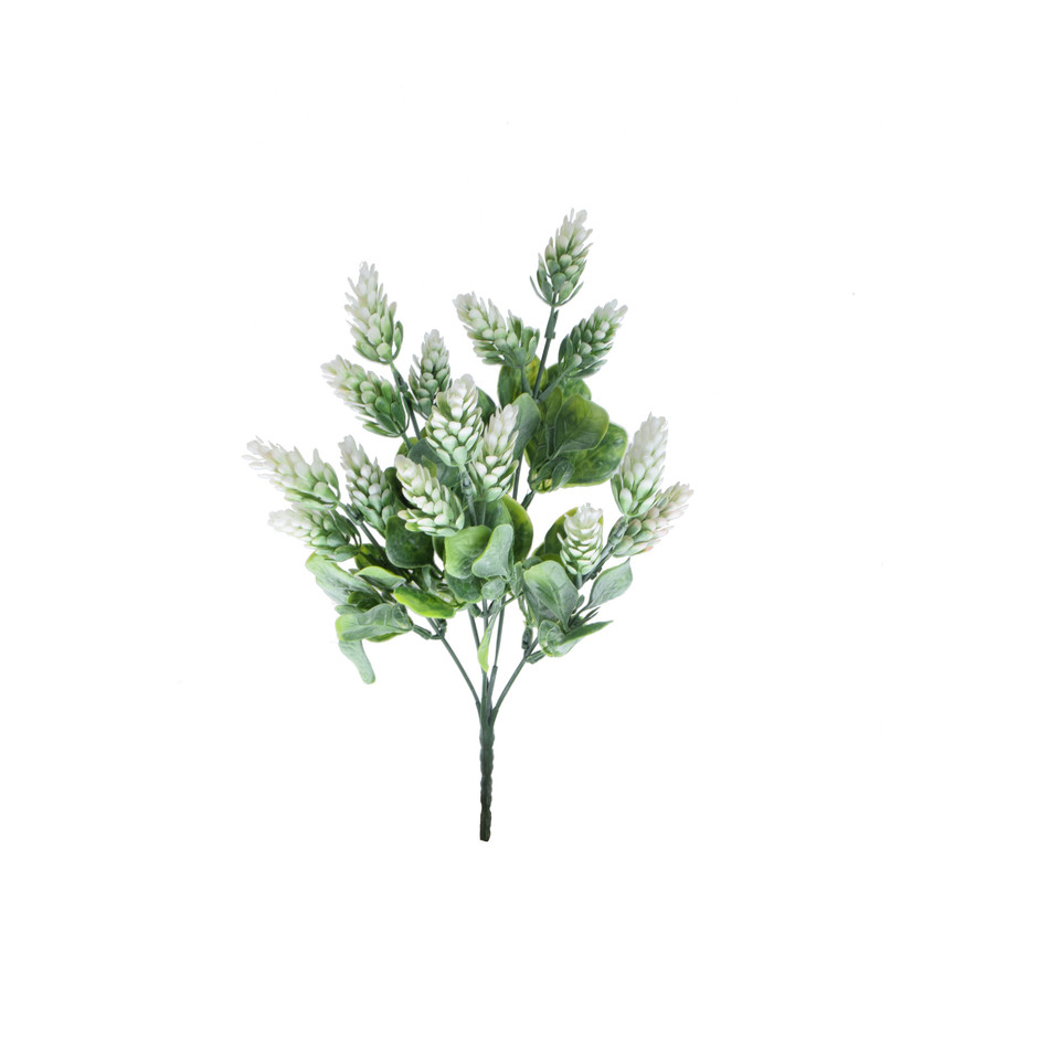 Chmiel - bukiet 30 cm, m R575-m