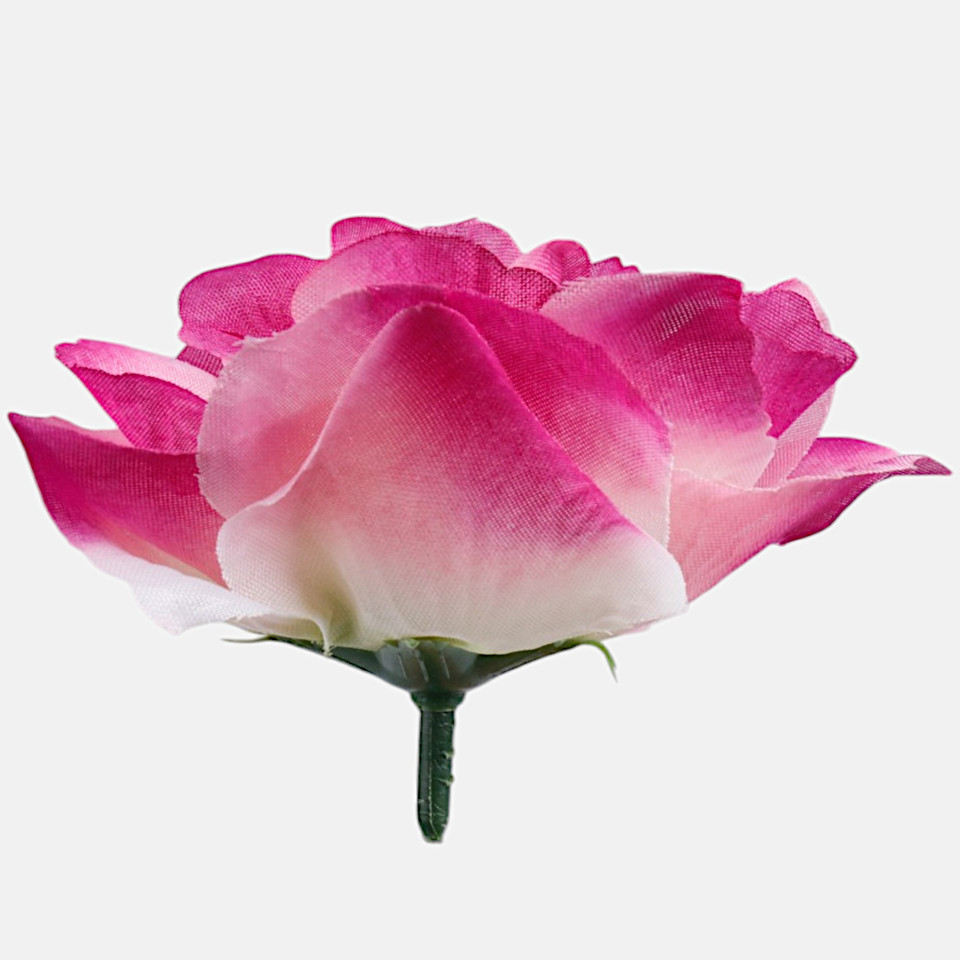 Rose head, T.T. Purple W748-01