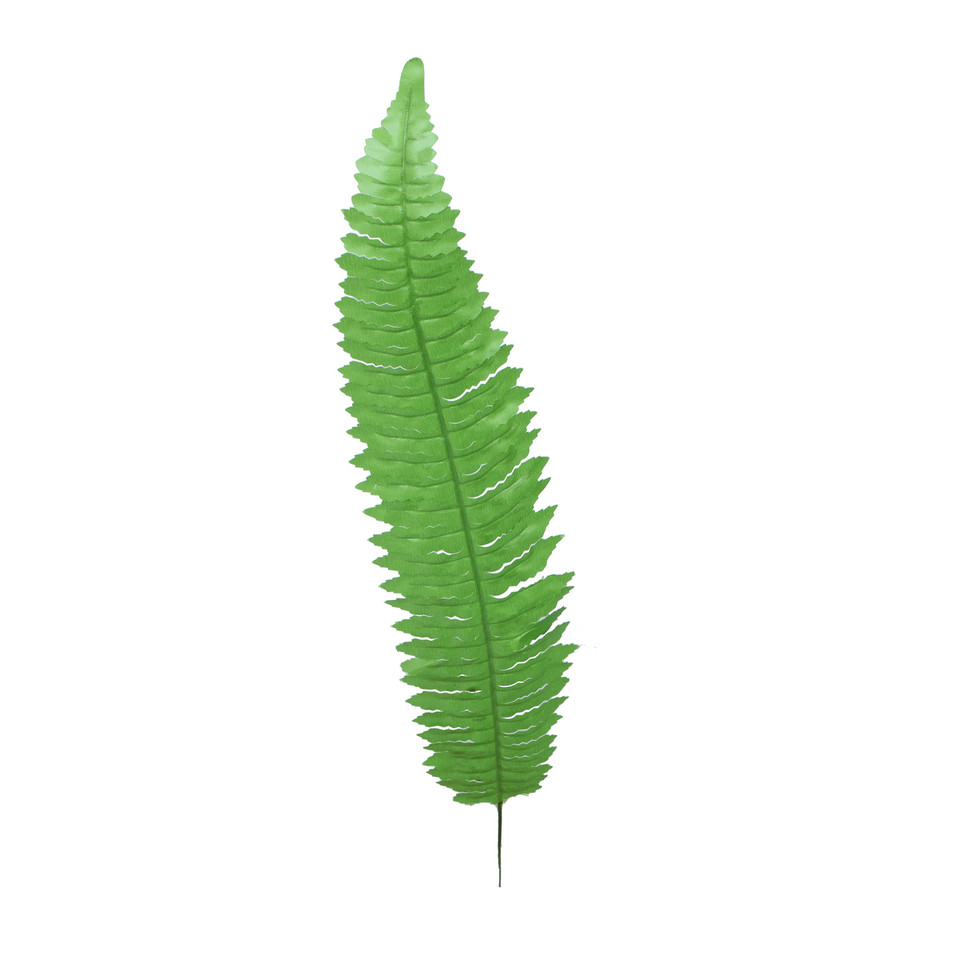 Paproć - liść 55 cm, green L490-01