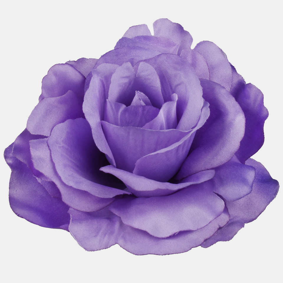 Rose, T.T. Lilac W729-16