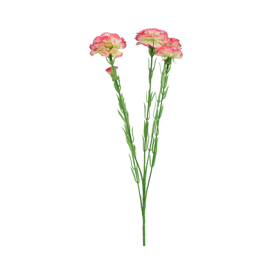 Goździk - gałązka 60 cm, m3 GK139-m3