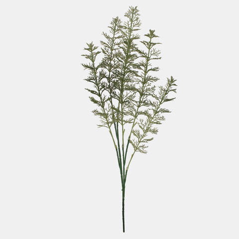 Dill, Lt. Green A717-01
