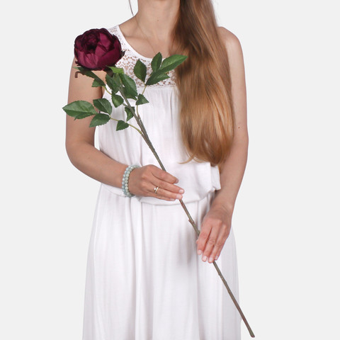 Peony L886 (Product size)
