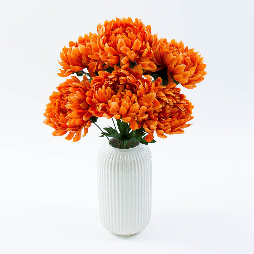 Chryzantema x 7, Orange D76-10