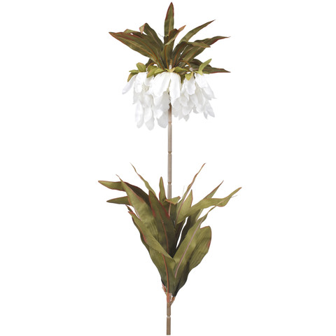 Crown imperial, White L020-01