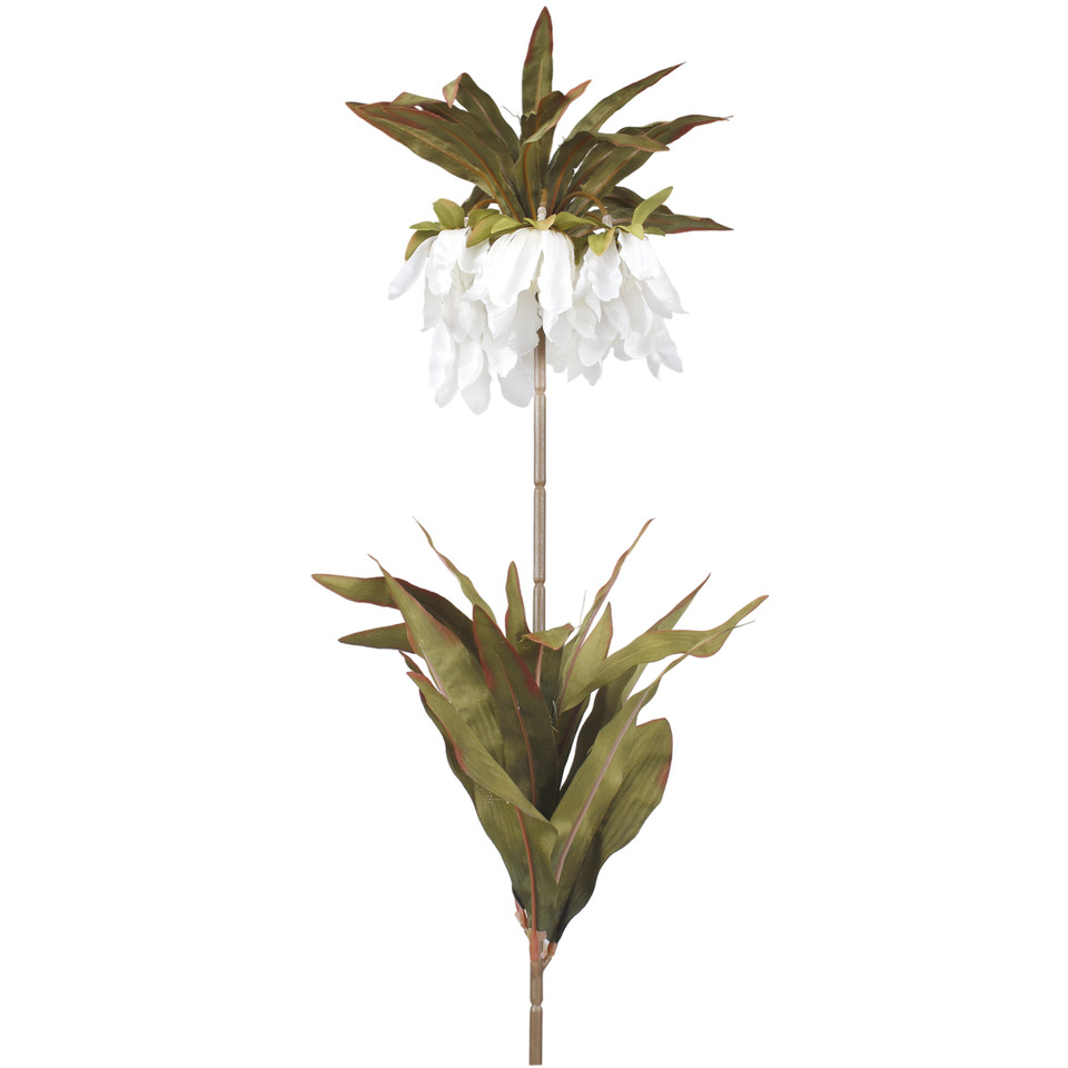 Szachownica cesarska, White L020-01