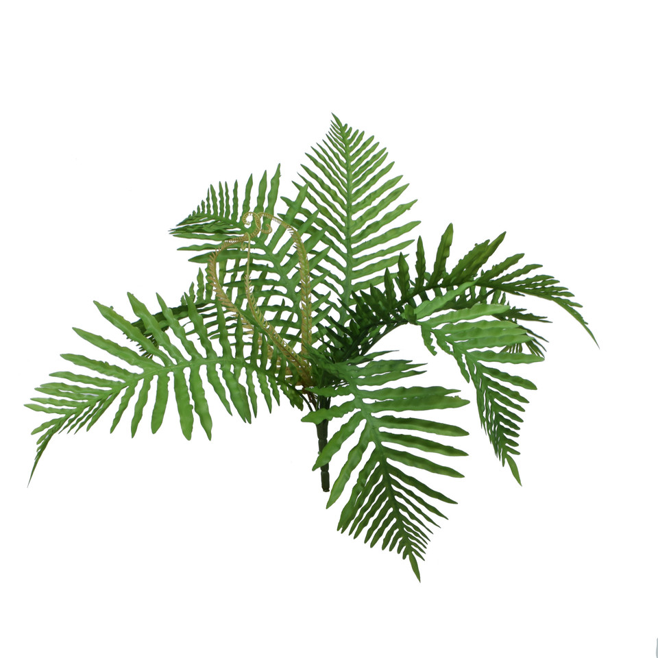 Palma - bukiet 50 cm R676-00