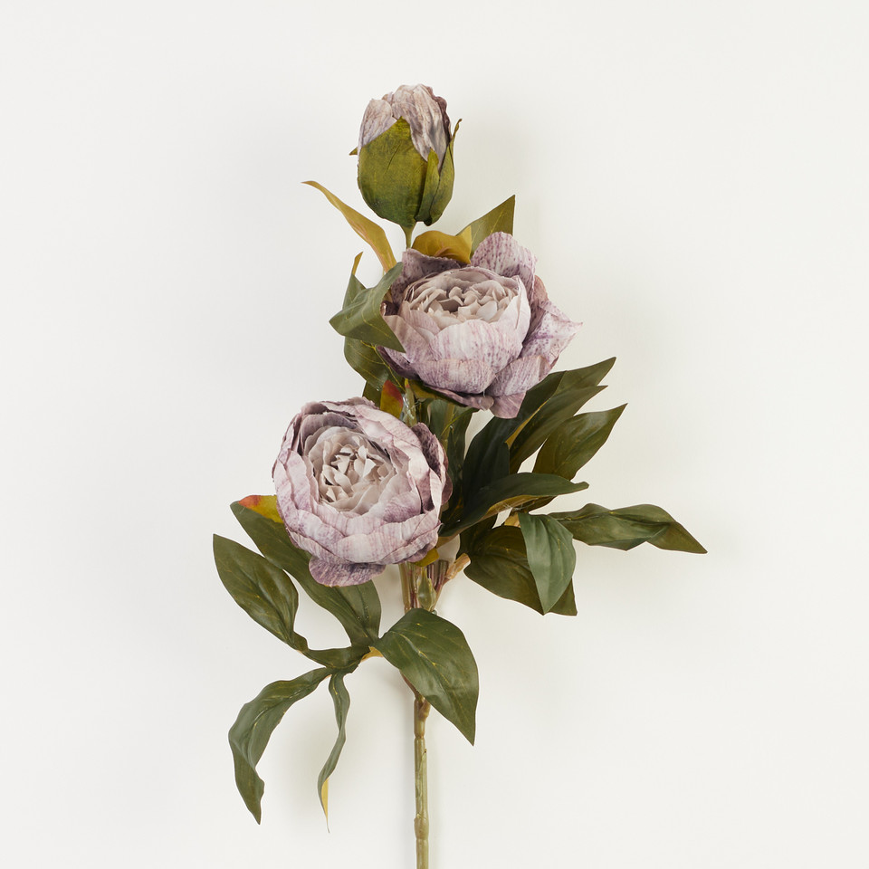 Peonia – gałązka x3, 34 B38-34