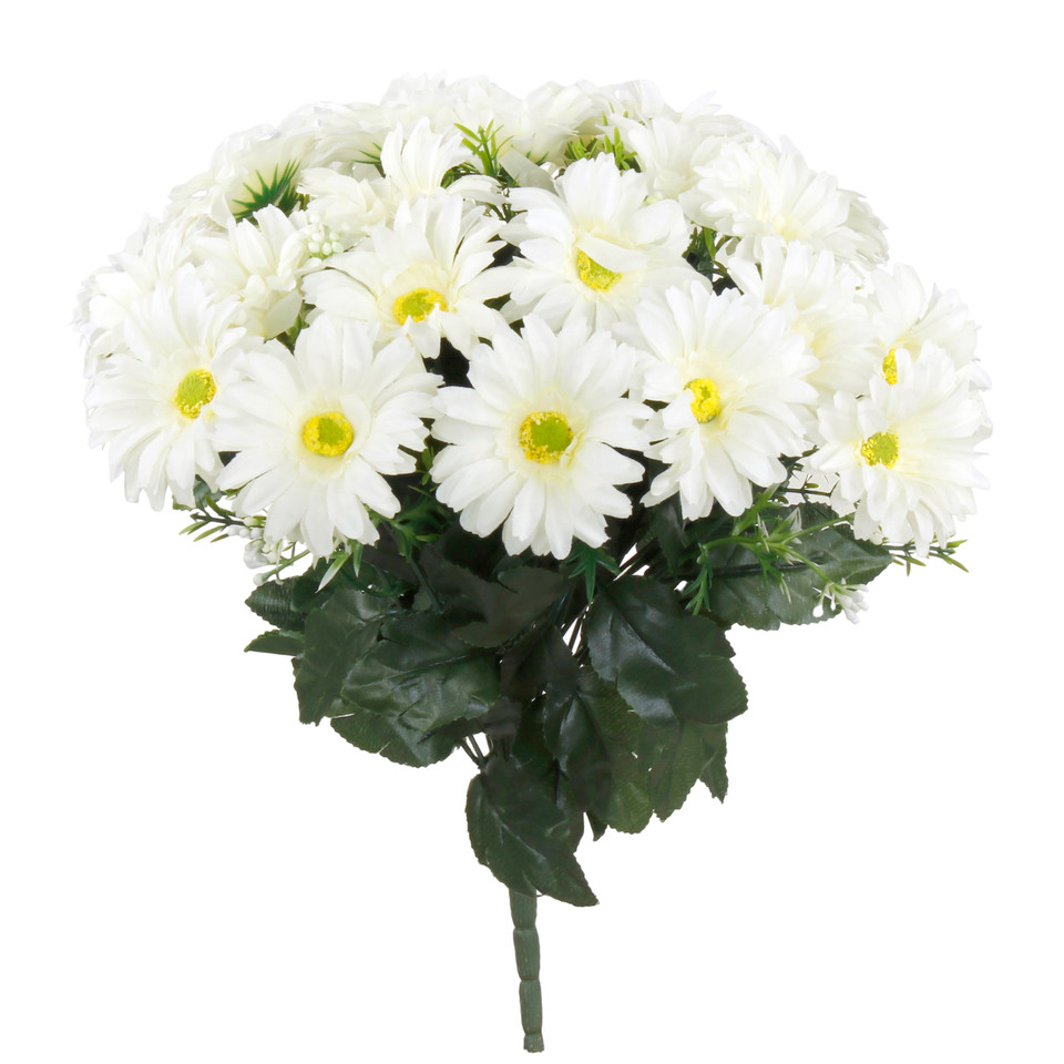 Gerbera x 24, Cream/Yellow QA078-06