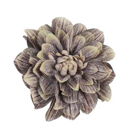 Dahlia head, #58 B32-58B