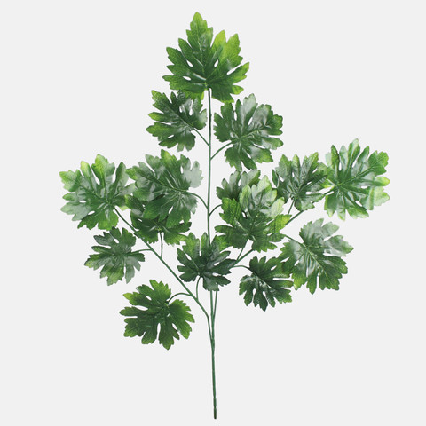 Maple F229