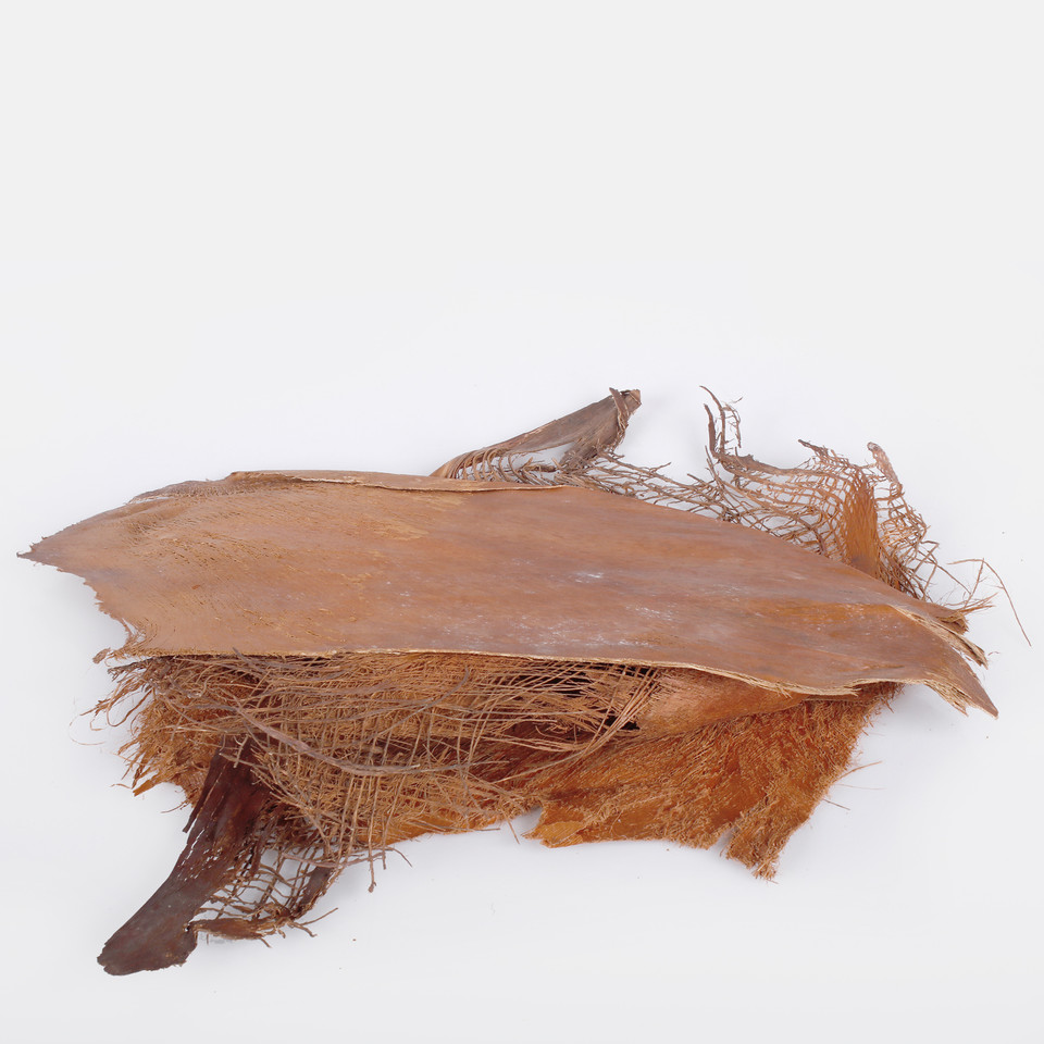 Palm tree bark 250 g Y018