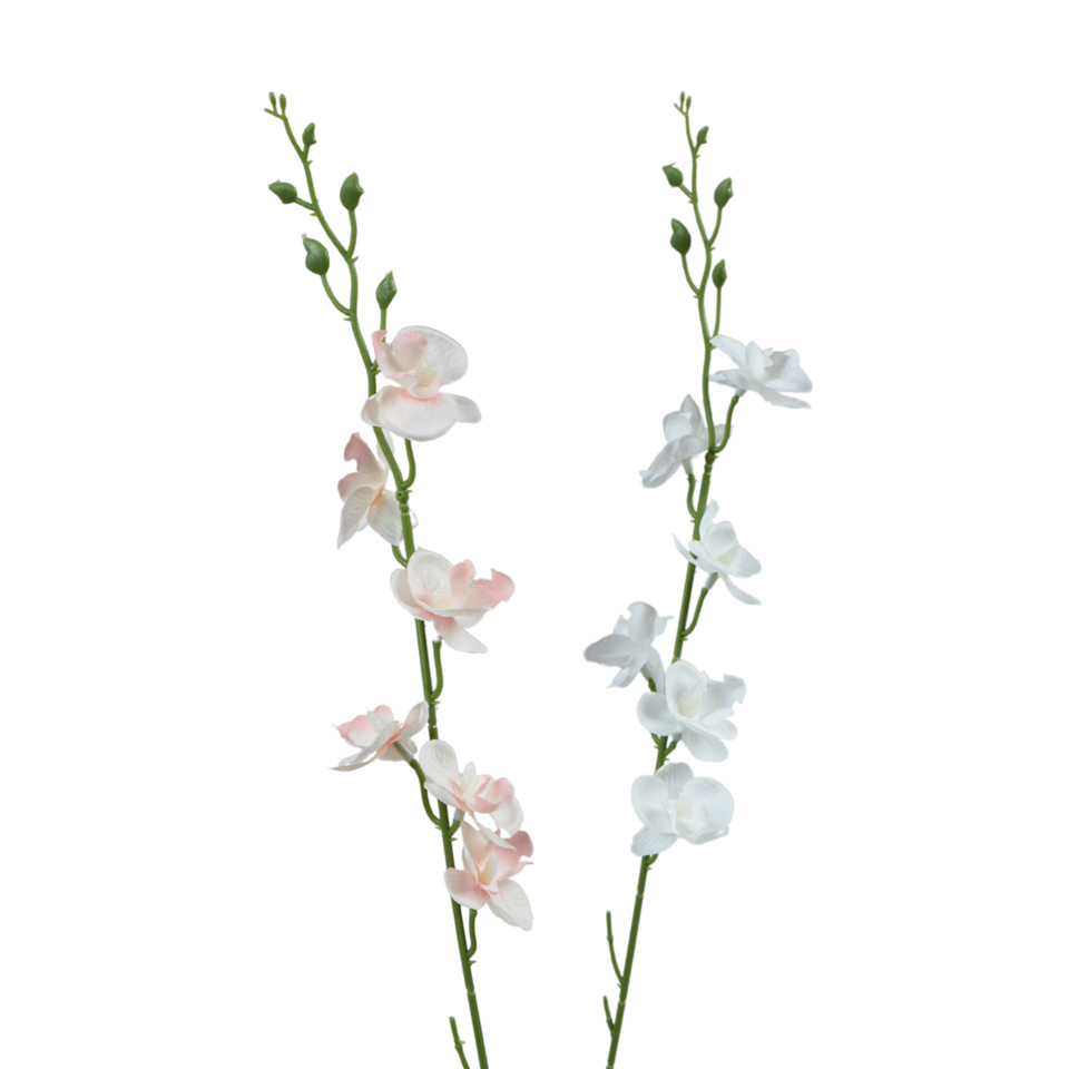 Storczyk Mini - gałązka 52 cm, m K607-m