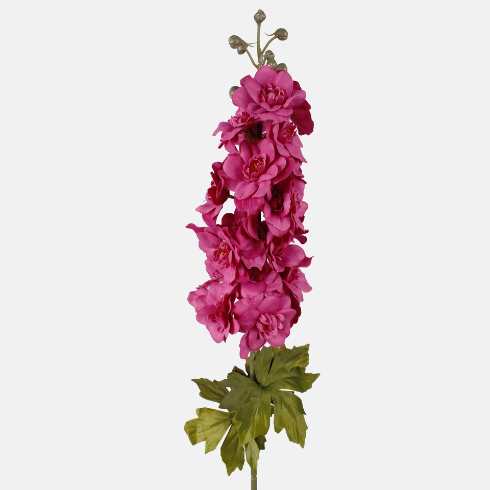 Delphinium, Mix 2 L181-02