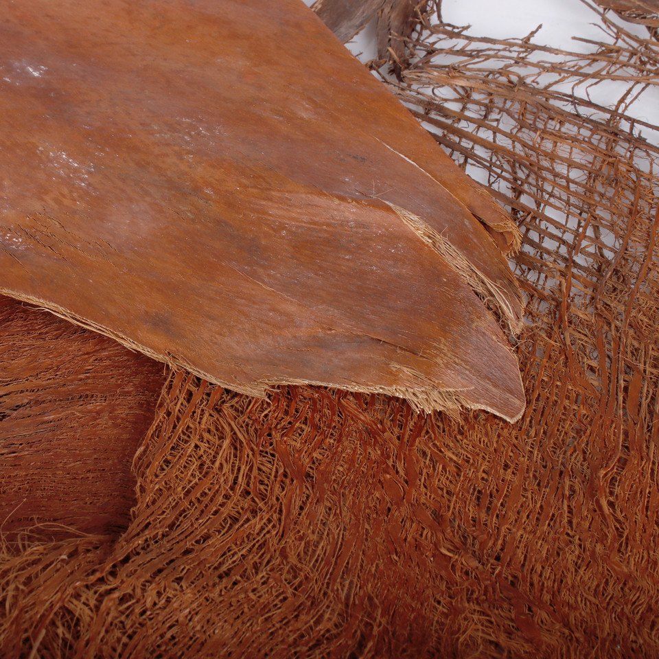 Palm tree bark 250 g Y018