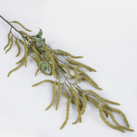 Hazel, Green F114L-02
