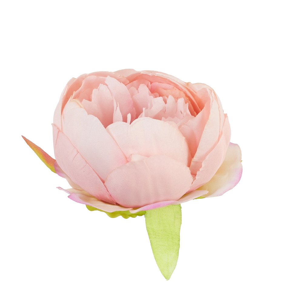 Peonia – główka, 024A purple/pink B50-024A