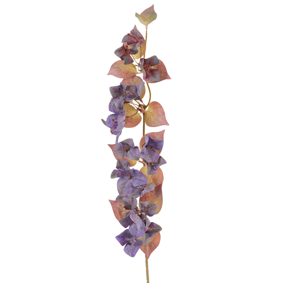 Bugenwilla - gałązka, 17 purple AL172-17
