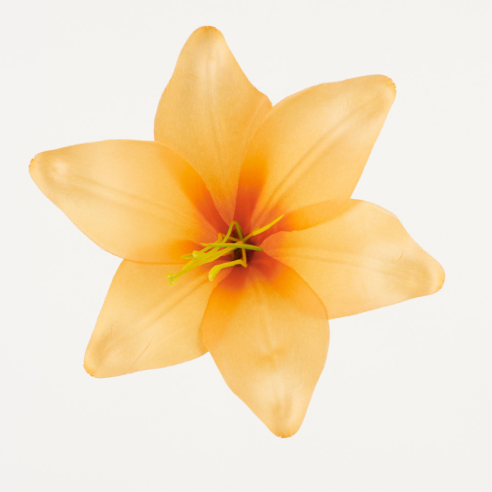 Lilia – główka satyna, orange B276-040